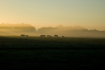 Image showing Autumn Landscape