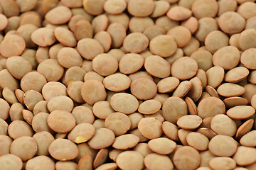 Image showing green lentil background