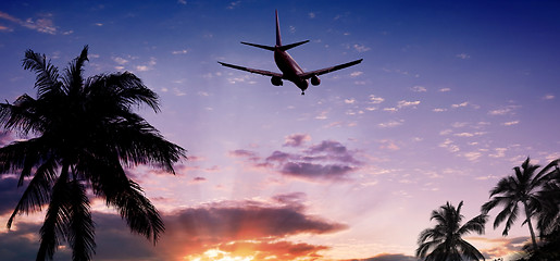 Image showing Airplane at sunset