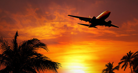 Image showing Airplane at sunset