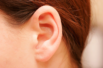 Image showing ear