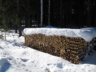 Image showing Snowy woodpile