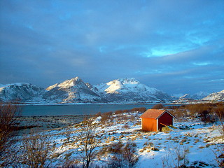 Image showing Boe in Vesteraalen, Norway