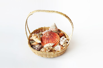 Image showing Beautifull sea shells in cart