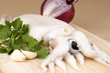 Image showing Raw cuttlefish with herbs