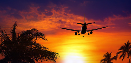 Image showing Airplane at sunset