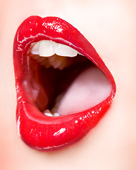 Image showing sexy girl lips