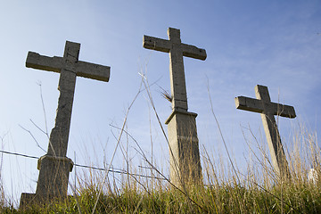 Image showing holy crosses