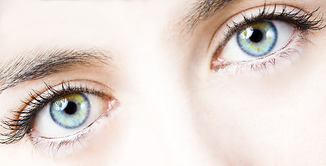 Image showing girl eye