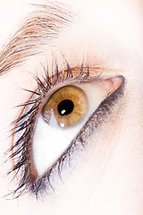Image showing girl eye