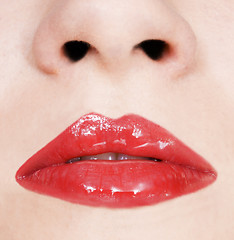 Image showing sexy girl lips
