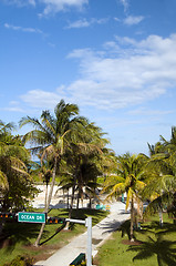 Image showing ocean drive street sign south beach park miami