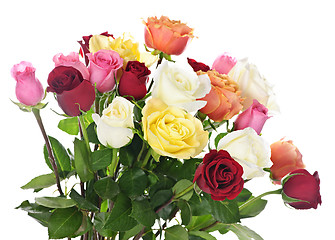 Image showing Bouquet of roses