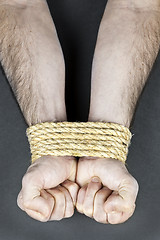 Image showing Wrists tied with rope