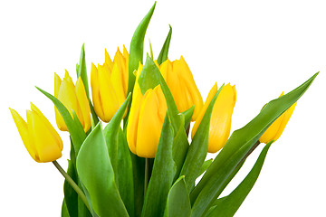 Image showing Bouquet of tulips