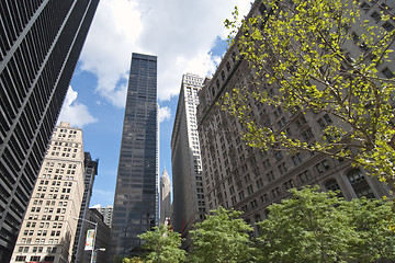 Image showing Skyscrapers of New York City