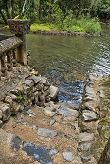 Image showing Paronella Park, Queensland