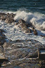 Image showing Gold Coast, Australia