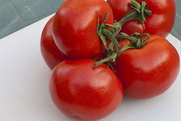 Image showing Fresh Tomatoes, Tuscany