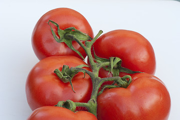 Image showing Fresh Tomatoes, Tuscany