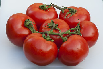 Image showing Fresh Tomatoes, Tuscany