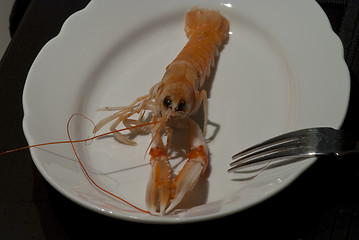 Image showing Prawn ready to be eaten, Italy
