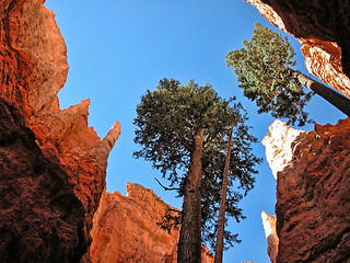 Image showing Bryce Canyon, Utah