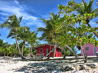 Image showing Small and Coloured Homes on the Coast of Santo Domingo