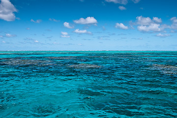 Image showing Surface of the Great Barrier Reef near Port Douglas
