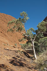 Image showing Australian Outback