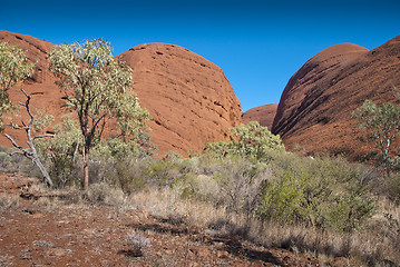 Image showing Australian Outback