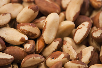 Image showing Almonds