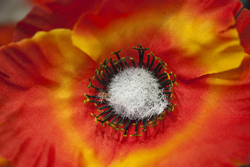 Image showing Red and Yellow Artificial Flower