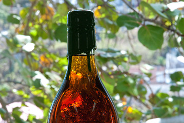 Image showing Wine Bottles in Saint Thomas