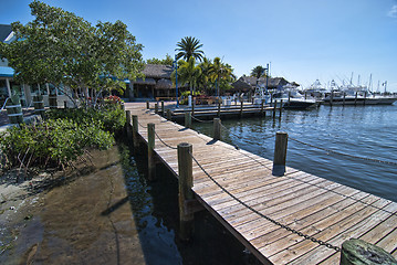 Image showing Park in Miami, Florida