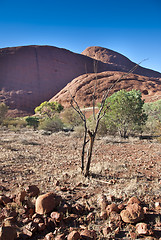 Image showing Australian Outback