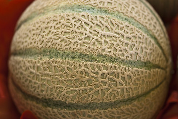 Image showing Melon Side View