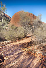 Image showing Australian Outback