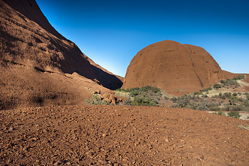 Image showing Australian Outback