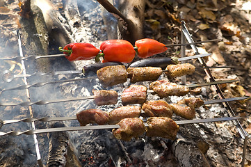 Image showing Shashlik