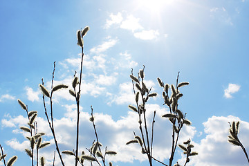 Image showing Beautiful heavenly landscape