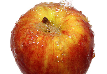 Image showing Fresh apple