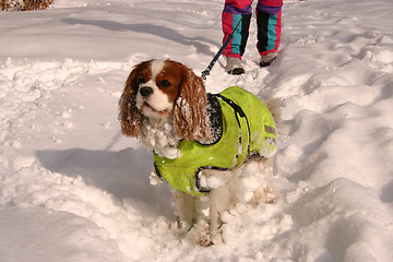 Image showing winter in sweden