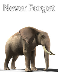 Image showing Elephant That Never Forgets