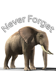 Image showing Elephant That Never Forgets