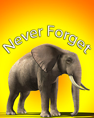 Image showing Elephant That Never Forgets