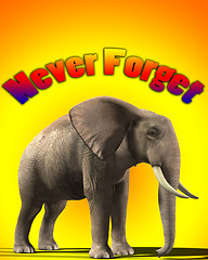 Image showing Elephant That Never Forgets