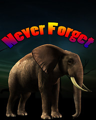 Image showing Elephant That Never Forgets