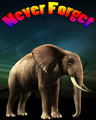 Image showing Elephant That Never Forgets