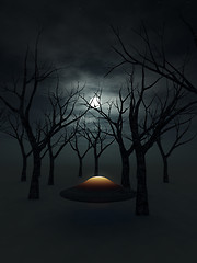 Image showing UFO In The Forest 